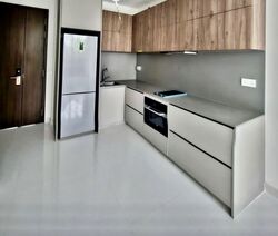 Parksuites (D10), Apartment #581254471